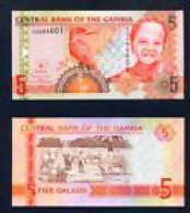 GAMBIA  -  2013 5 Dalasis UNC  Banknote - Gambia