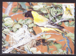 Ciskei 1984 Black Headed Oriole Maxi Card - Ciskei