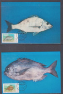 Ciskei 1985 Fishing Maxi Cards Set 4 - Ciskei