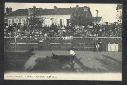 CPA Corrida Tauromachie Taureau Landes Courses Landaises Non Circulé - Corrida