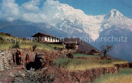 73846795 Pokhara Nepal Barley Fields And The Annapurna Range  - Nepal