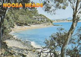 AK 165188 AUSTRALIA - Queensland - Noosa Heads - Little Cove And Noosa Beach - Other & Unclassified