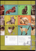 Argentina - 2005 - Cats - Abisinio - Europeo - Oriental - Persa - Sagrado De Birmania - Siamés - Unused Stamps
