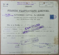 INDIA 1962 NILGIRI PLANTATIONS LIMITED.....SHARE CERTIFICATE - Landbouw