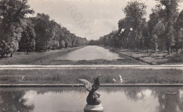 CARTOLINA  FONTAINEBLEAU-ILE-DE-FRANCE,FRANCIA-CHATEAU DE FONTAINE BLEAU-FONTAINE ET ALLEE D'EAU-VIAGGIATA 1956 - Ile-de-France