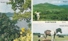 CARTOLINA  DARTMOOR,DEVON,INGHILTERRA,REGNO UNITO-BURRATOR LAKE-SHARPITOR-DARTMOOR PONIES-BOLLO STACCATO,VIAGGIATA 1979 - Dartmoor