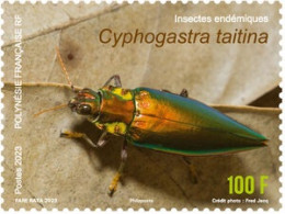 Polynésie 2023 - Insectes Endémiques - Cyphogastra Taitina - Unused Stamps