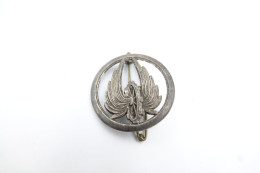 Militaria - INSIGNIA : Cap Badge : Regiment Train Drago Noisiel - France - Baret Insigne - Altri & Non Classificati