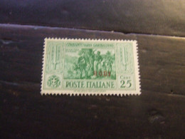 RODI 1932 GARIBALDI 25 C NUOVO Senza Gomma - Ägäis (Rodi)