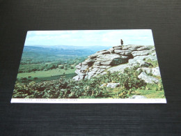 65146-              ENGLAND, DEVON, DARTMOOR - Dartmoor