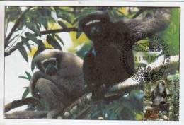 INDIA.  Wild Life (Protection) India's Leaf Monkeys.  Maximum-card Of India - Scimmie