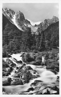 Paysage Du Val D'Arpette Près De Champex - Autres & Non Classés