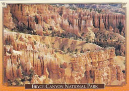 AK 165246 USA - Utah - Bryce Canyon National Park - Bryce Canyon