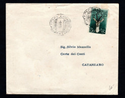 Somalia AFIS, POSTA VIAGGIATA 1955, MOGADISCIO PER CATANZARO - Somalië (AFIS)