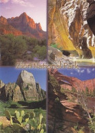 AK 165251 USA - Utah - Zion National Park - Zion