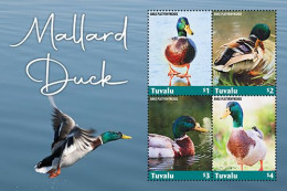 Tuvalu 2022 Birds Mallard Duck   I202302 - Tuvalu