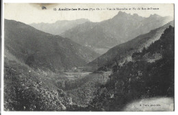 66 Amelie Les Bains  -  Vue  De Montalba  Et  Pic  Du Roc De France - Amélie-les-Bains-Palalda