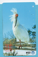 JAPAN - Used Phonecard  NTT    BIRD - Altri & Non Classificati