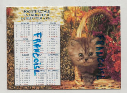 2009. (non Mentionné) Société Royale La Croix Bleue De Belgique. Chaton, Panie, Fleurs - Petit Format : 2001-...