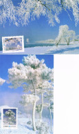 Chine - Givre à Guilin CM 3269/3270 (année 1995) - Tarjetas – Máxima