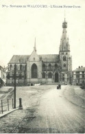 Souvenir De WALCOURT - L'Eglise Notre-Dame - N'a Pas Circulé - Phototypie Marco Marcivici, Bruxelles - Walcourt