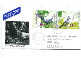 PAYS BAS - Affranchissement Sur Lettre Par Avion - Faune / Oiseau / Ecureuil - Knaagdieren