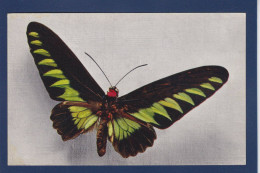 CPA 1 Euro Papillon Non Circulé Prix De Départ 1 Euro - Insects