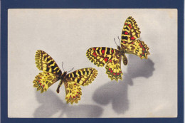 CPA 1 Euro Papillon Non Circulé Prix De Départ 1 Euro - Insects
