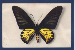 CPA 1 Euro Papillon Non Circulé Prix De Départ 1 Euro - Insecten