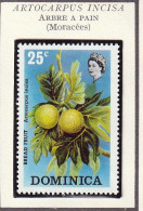 DOMINIQUE - Arbre à Pain (moracées) - 1973 - MNH - Dominica (...-1978)