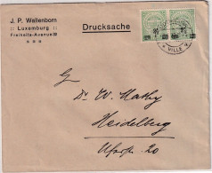 Luxemburg - 2x2 1/2 C. Freimarke/Überdruck Drucksache Luxemburg Ville 1920 - Andere & Zonder Classificatie