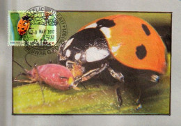 Ladybird Beetle (coccinelle).Maximum-card From India (Postmark From Bhubaneswar)  Odisha. INDIA - Brieven En Documenten