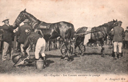 Hippisme à Cogolin (Var) Les Courses, Enceinte Du Pesage - Carte A. Bougault N° 825 De 1908 - Reitsport