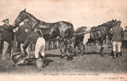 Hippisme à Cogolin (Var) Les Courses, Enceinte Du Pesage - Carte A. Bougault N° 825 De 1908 - Ippica