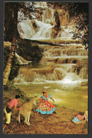 Jamaica - You Can Lead Me To The Dunns River Falls In Jamaica - Uncirculated - Non Circulée  Photo By Hannau - No: 72391 - Jamaica
