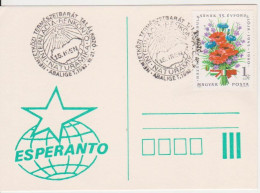 ESPERANTO HUNGARY POSTCARD - Esperanto