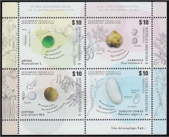 Argentina - 2016 - 2016 – International Year Of Legumes - Neufs