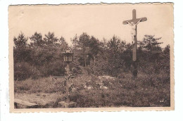 Zoersel - Kruis Der Bevrijding 1953 - Zoersel