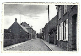 Wingene  Kloosterstraat  1956 - Wingene