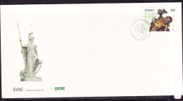 Ireland 1991 Statue Of Cuchalainn First Day Cover - Unaddressed - Briefe U. Dokumente