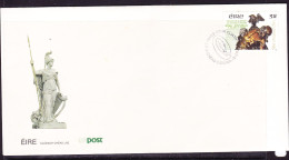 Ireland 1991 Statue Of Cuchalainn First Day Cover - Unaddressed - Covers & Documents