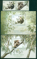 Australia 1995 Koala, Pande Joint Issue China + 2xMS MUH - Blocchi & Foglietti