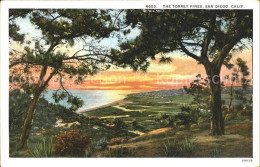 12020934 San_Diego_California Torrey Pines Panorama Ocean - Otros & Sin Clasificación