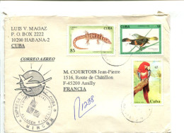 CUBA - Affranchissement Sur Lettre - Oiseaux Perroquet / Reptile - Autres & Non Classés