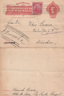 Brésil Entier Postal Carte Lettre Pour L'Allemagne 1913 - Entiers Postaux