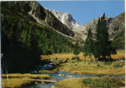 SVIZZERA  SUISSE  VS  CHAMPEX  Val D'Arpette  Pointe D'Orny Et Les Ecandies - Orsières