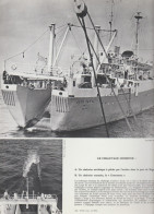 Photo  -  Reproduction - Pêche - Bateau -chalutier Soviétique Dans Le Port De Riga - Un Chalutier Roumain, Le Constantza - Europa