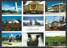 AUSTRALIE. Carte Postale écrite. Adelaide. - Adelaide