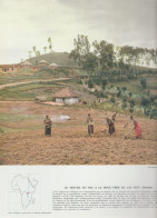 Photo  -  Reproduction -  Afrique - Rwanda - Le Travail Du Sol à La Houe Près Du Lac Kivu - Afrique