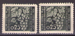 ISTRIA E LITORALE SLOVENO 1945. Tiratura Di Lubiana, Dent. 10 1/2-11 1/2, Sass. 41,TIPO I,II MH* - Jugoslawische Bes.: Slowenische Küste